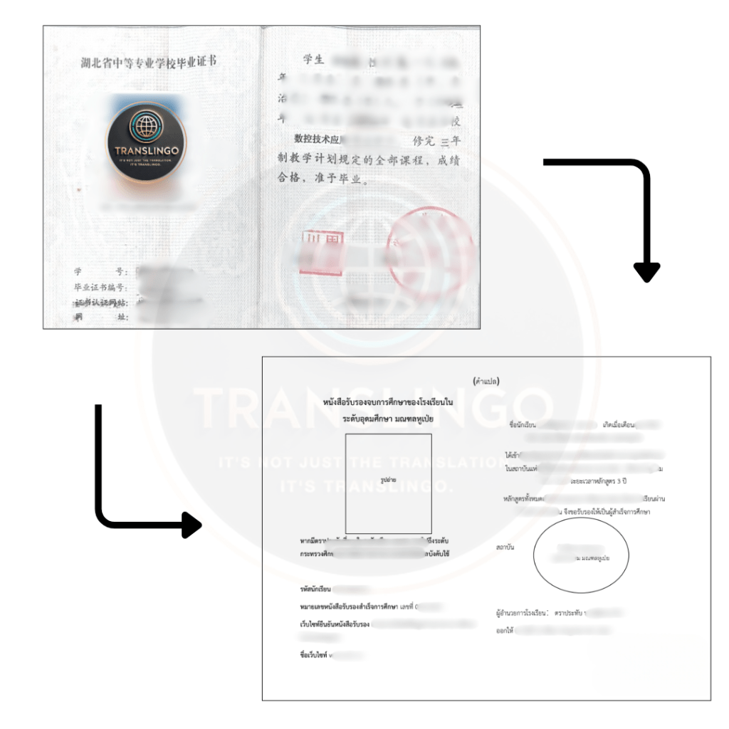 ภาพตัวอย่างผลงานแปลเอกสารวุฒิการศึกษาจากภาษาจีนเป็นภาษาไทย แสดงให้เห็นเอกสารต้นฉบับภาษาจีนวางคู่กับเอกสารฉบับแปลภาษาไทยที่จัดรูปแบบเหมือนต้นฉบับ